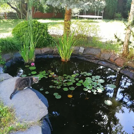 Homestay szállás Villa