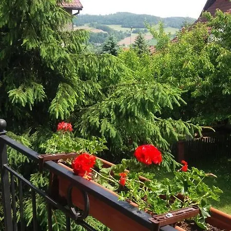Homestay Villa