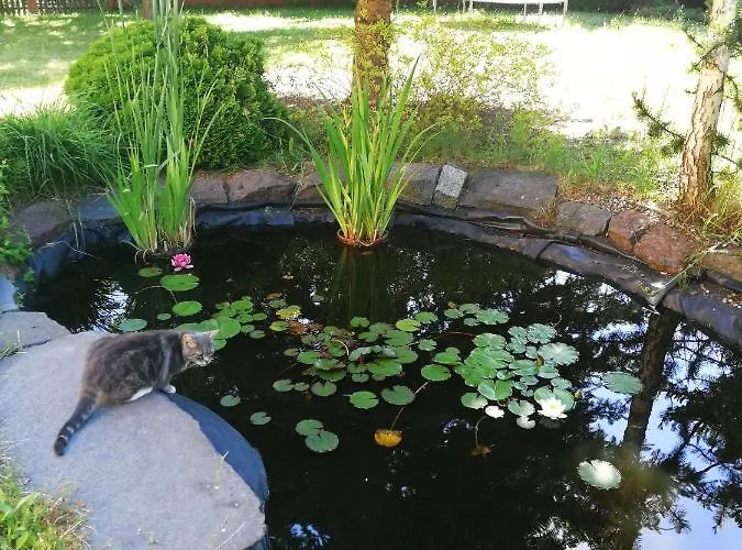 Habitación en casa particular Villa