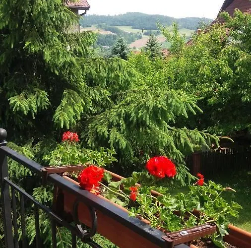 Habitación en casa particular Villa